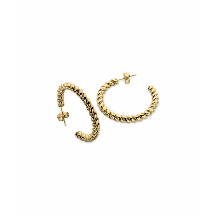 Oorbellen Dames AN Jewels AAC.E25Y 2