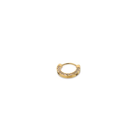 Oorbellen Dames AN Jewels AS.PH03YC