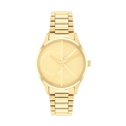 Montre Femme Calvin Klein 25200346