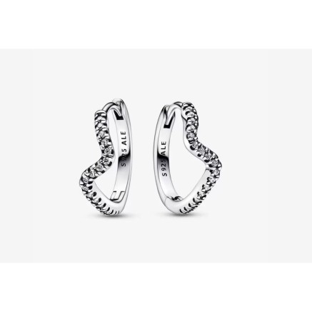 Pendientes Mujer Pandora 292545C01 Acero Inoxidable Plata de ley 925 2
