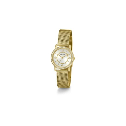 Orologio Uomo Guess GW0534L2