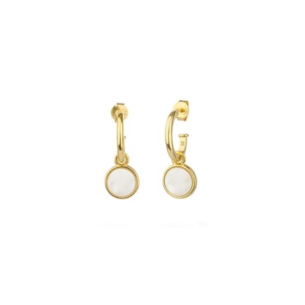 Ladies' Earrings Radiant RY000179 Golden