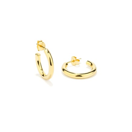 Oorbellen Dames Radiant RY000228 Metaal
