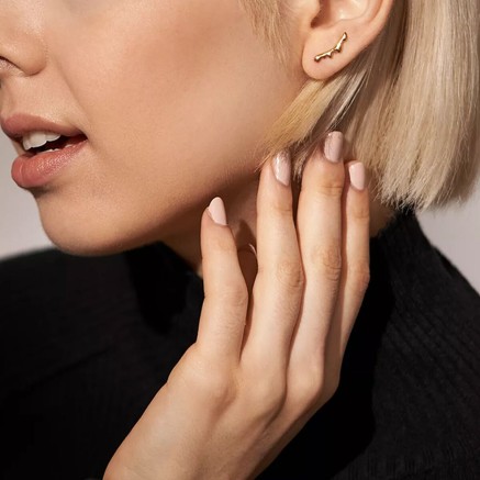 Pendientes Mujer Skagen SKJ1773710 2