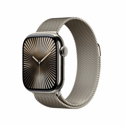 Orologio Uomo Apple MWXF3QL/A Titanio Acciaio