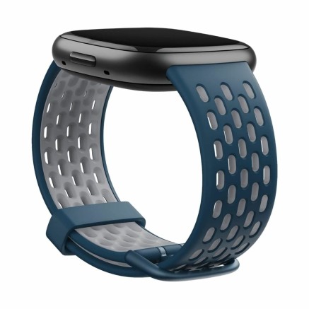 Smartwatch Fitbit Blauw 2