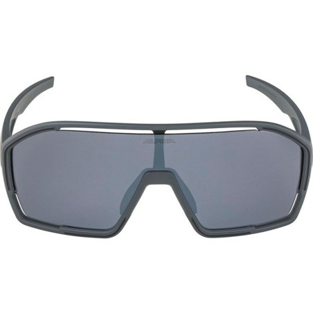 Gafas de Sol Hombre Alpina A8687321