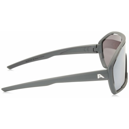 Herrensonnenbrille Alpina A8687321 2