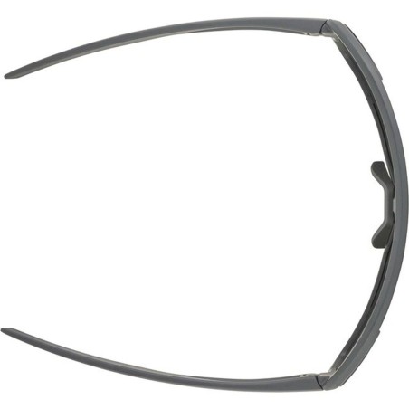 Gafas de Sol Hombre Alpina A8687321