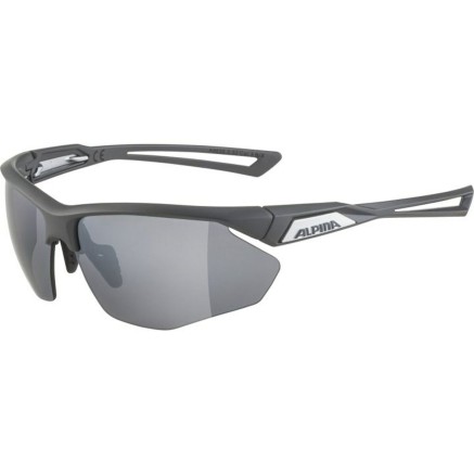 Gafas de Sol Hombre Alpina A8635332 2