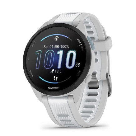 Smartwatch GARMIN 010-02863-21 White Grey Silver 2
