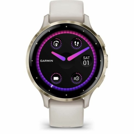 Smartwatch GARMIN 010-02785-00 Grigio