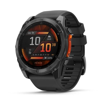 Smartwatch GARMIN 010-02905-00 Nero Grigio