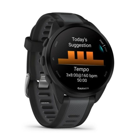 Smartwatch GARMIN 010-02863-20 Black Silver 2