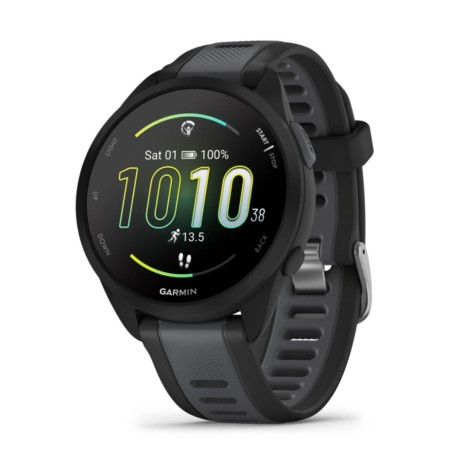 Smartwatch GARMIN 010-02863-20 Black Silver