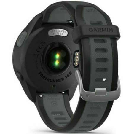 Smartwatch GARMIN 010-02863-20 Black Silver