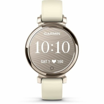 Orologio Uomo GARMIN 010-02839-00 Dorato