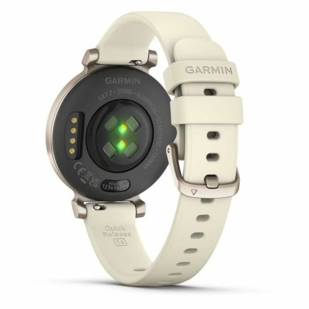 Orologio Uomo GARMIN 010-02839-00 Dorato 2