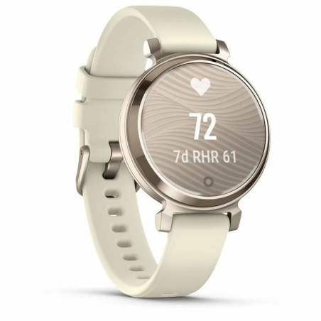Men's Watch GARMIN 010-02839-00 Golden
