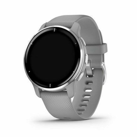 Smartwatch GARMIN 010-02496-10 Grigio Argentato