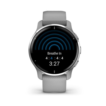 Smartwatch GARMIN 010-02496-10 Grigio Argentato