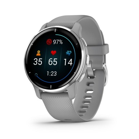 Smartwatch GARMIN 010-02496-10 Grigio Argentato
