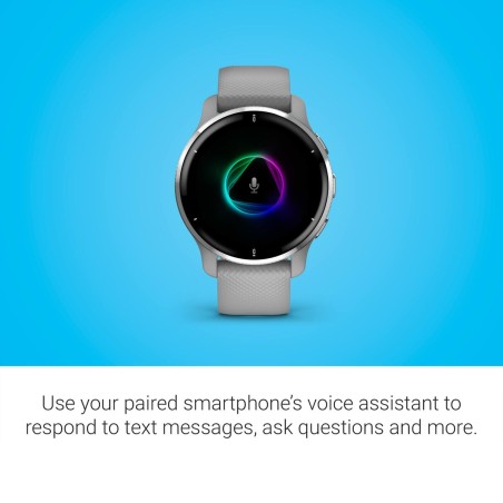 Smartwatch GARMIN 010-02496-10 Grau Silberfarben