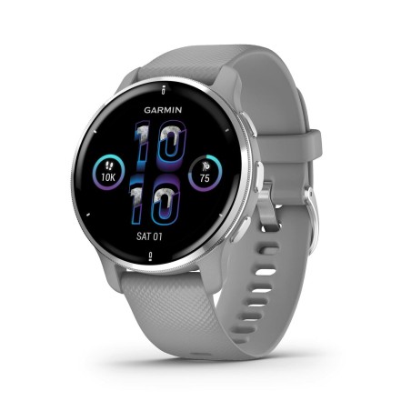 Smartwatch GARMIN 010-02496-10 Grigio Argentato