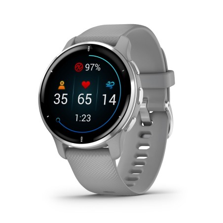 Smartwatch GARMIN 010-02496-10 Grigio Argentato