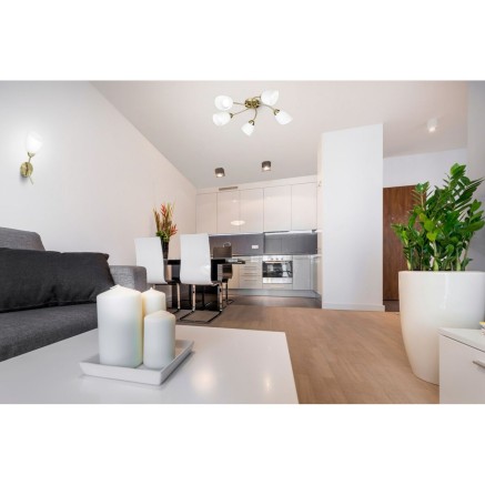 Wandlamp Activejet Wit Gouden Metaal Glas 40 W 40 x 12 x 20 cm (1 Onde 2
