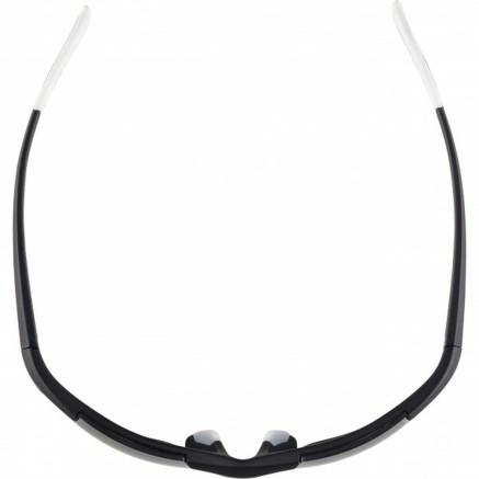 Gafas de Sol Hombre Alpina DEFEY HR 2