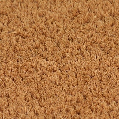 Tapis de porte 2 pcs naturel 40x60 cm fibre de coco touffeté