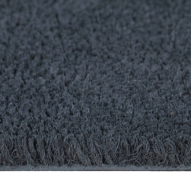 Tapis de porte gris foncé 100x300 cm fibre de coco touffeté