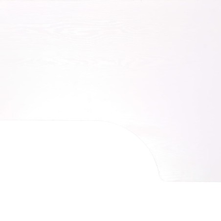 Bureau d'ordinateur Blanc 120x72x70 cm