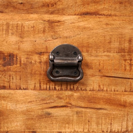 Coffre de rangement cubique Bois de manguier brut