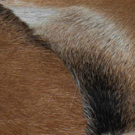 Banc cuir de chèvre Teck