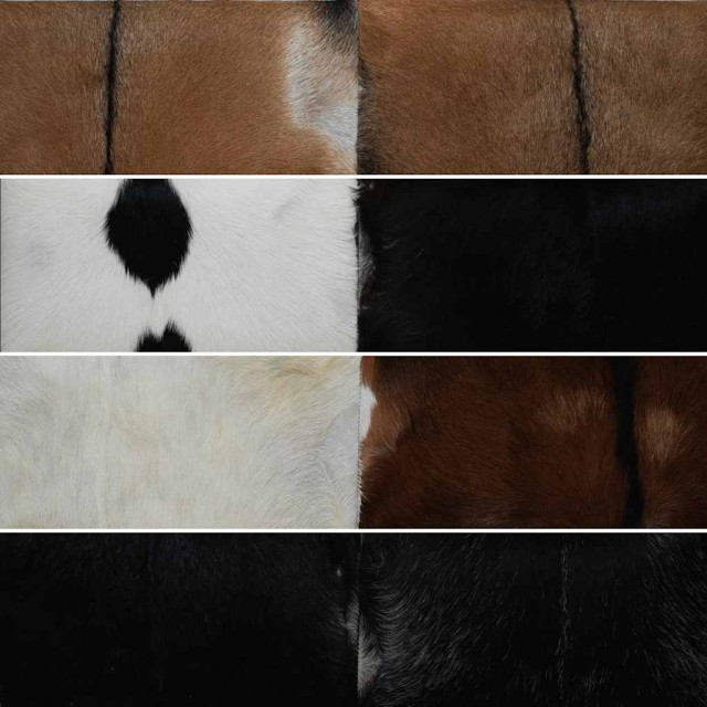 Banc cuir de chèvre Teck