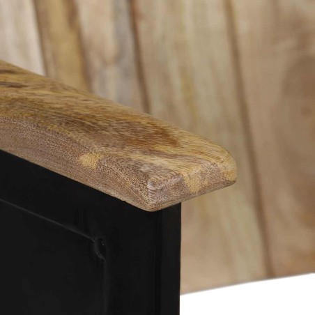 Banc à 2 places Bois de manguier massif et acier