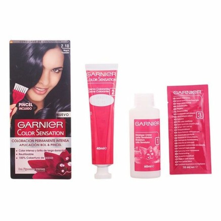 Permanente Kleur Color Sensation 2,10 Garnier BlauwZwart