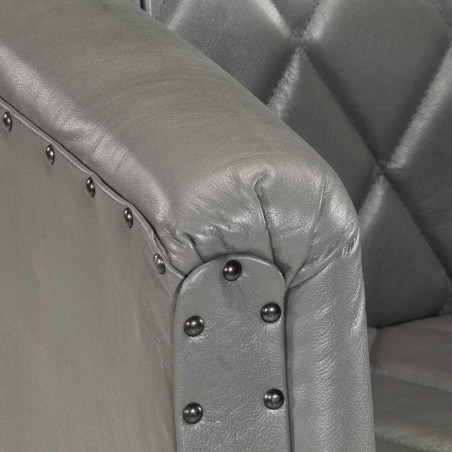 Chaise cabriolet Gris Cuir véritable de chèvre