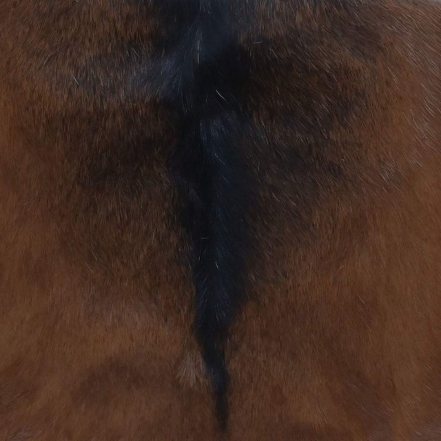 Tabouret pliable cuir de chèvre et bois de teck massif