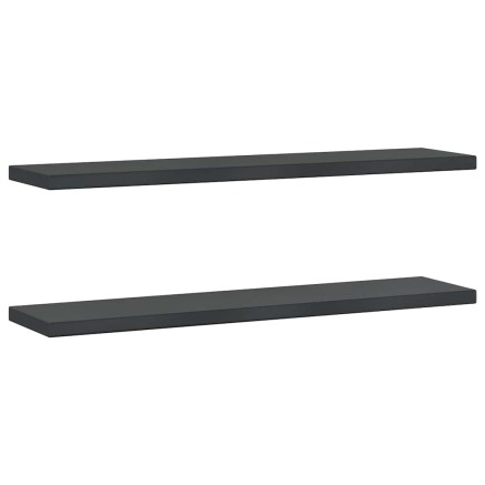 Étagères murales 2 pcs 100x23,5x3 cm noir acier inoxydable 2
