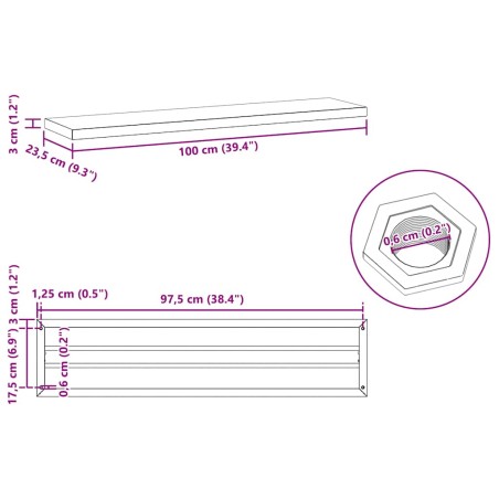 Étagères murales 2 pcs 100x23,5x3 cm noir acier inoxydable