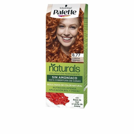 Tintura Permanente Palette Natural Schwarzkopf