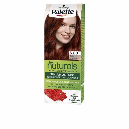 Tintura Permanente Palette Natural Schwarzkopf