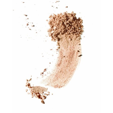 Basis für Puder-Makeup Elizabeth Arden Pure Finish Mineral Nº 2 8,33