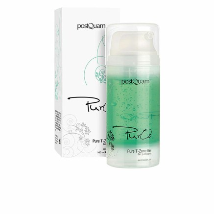 Gel Limpiador Purificante Postquam PQEPURGEL 100 ml