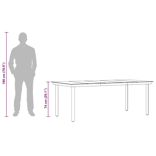 Table à dîner de jardin Noir 200x100x74 cm Acier et verre