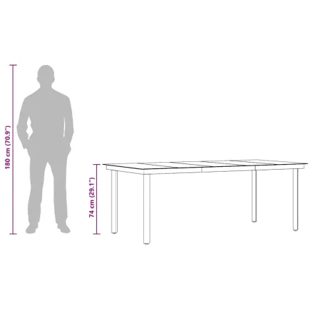 Table à dîner de jardin Noir 200x100x74 cm Acier et verre