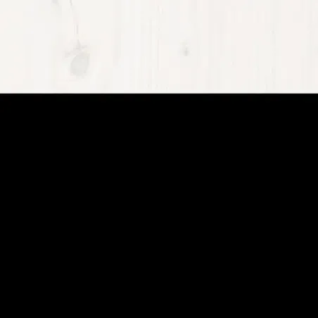 Cadre de lit sans matelas blanc bois massif 160x200 cm